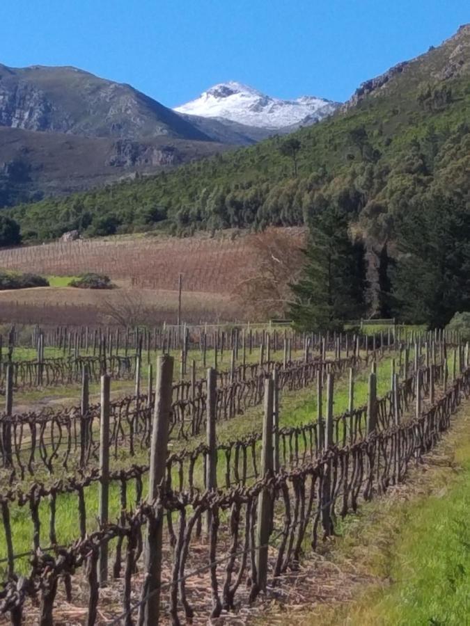 L'Auberge Chanteclair Franschhoek Exteriör bild