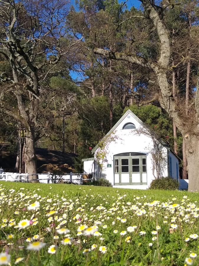 L'Auberge Chanteclair Franschhoek Exteriör bild