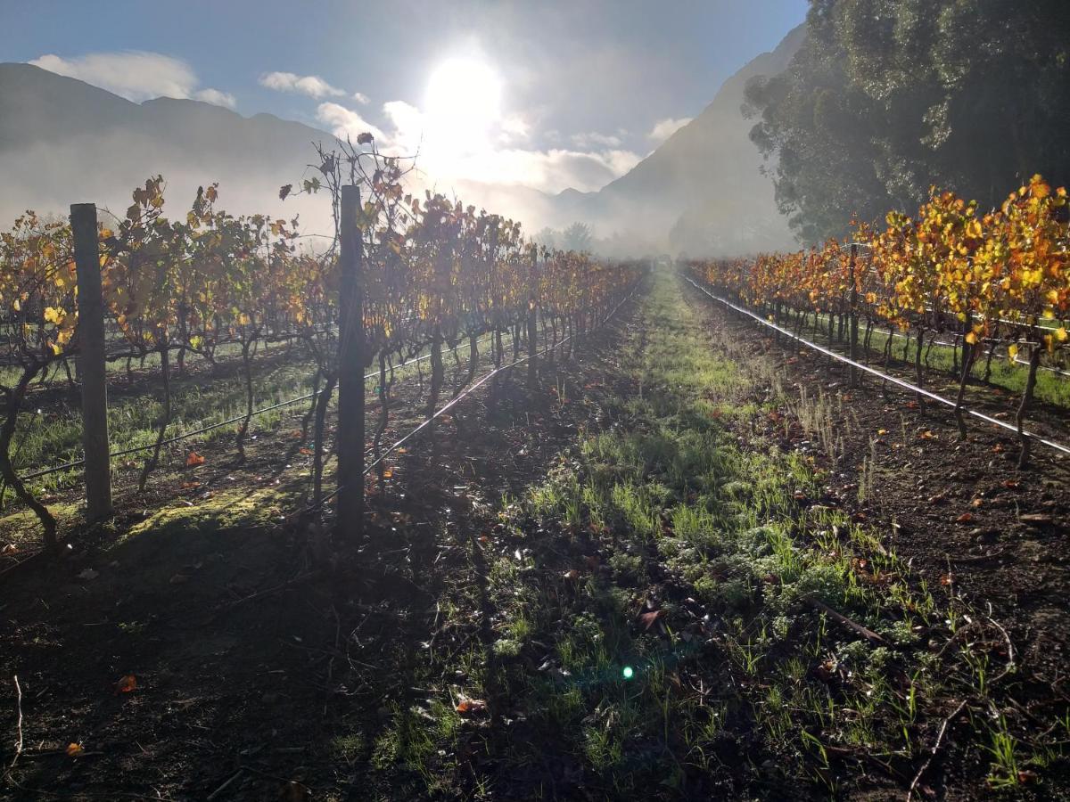 L'Auberge Chanteclair Franschhoek Exteriör bild